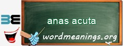 WordMeaning blackboard for anas acuta